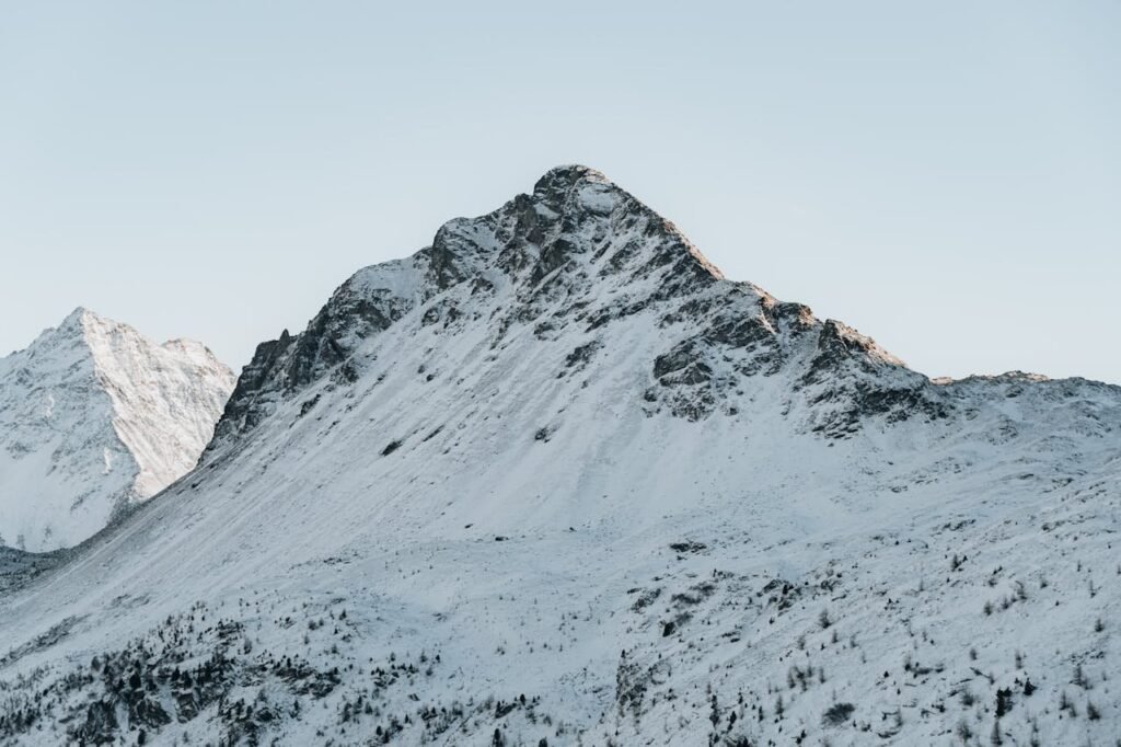 pexels photo 35116843.jpeg